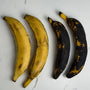  Four plantains displayed on a white countertop showing different ripeness stages — two very ripe with black skins on the left and two yellow, less ripe plantains on the right.